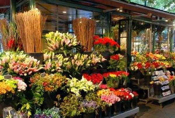 在哪些地方开花店是最好的？花店选址分享