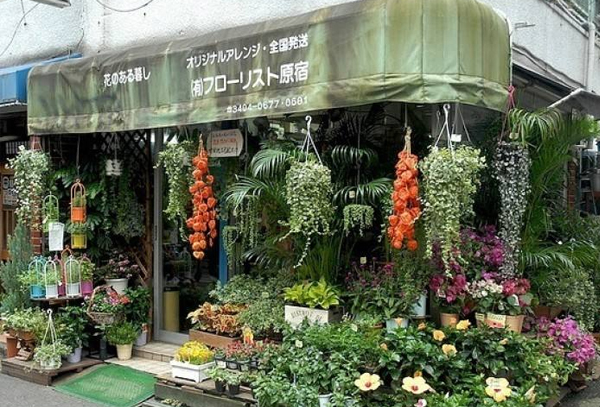 在哪些地方开花店是最好的？花店选址分享