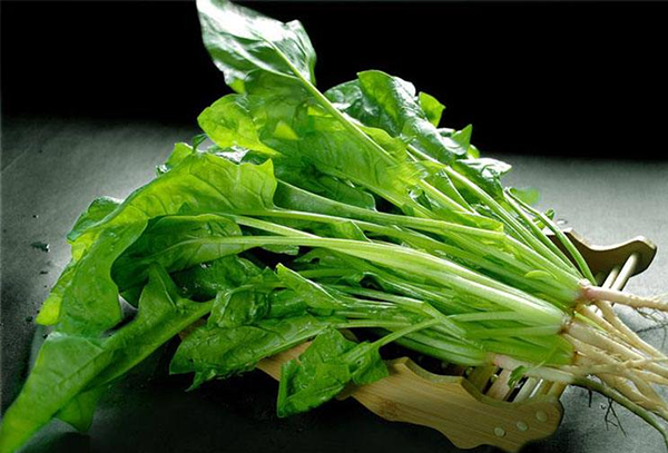 现阶段适合开蔬菜店吗 餐饮店要考虑位置和居民数量